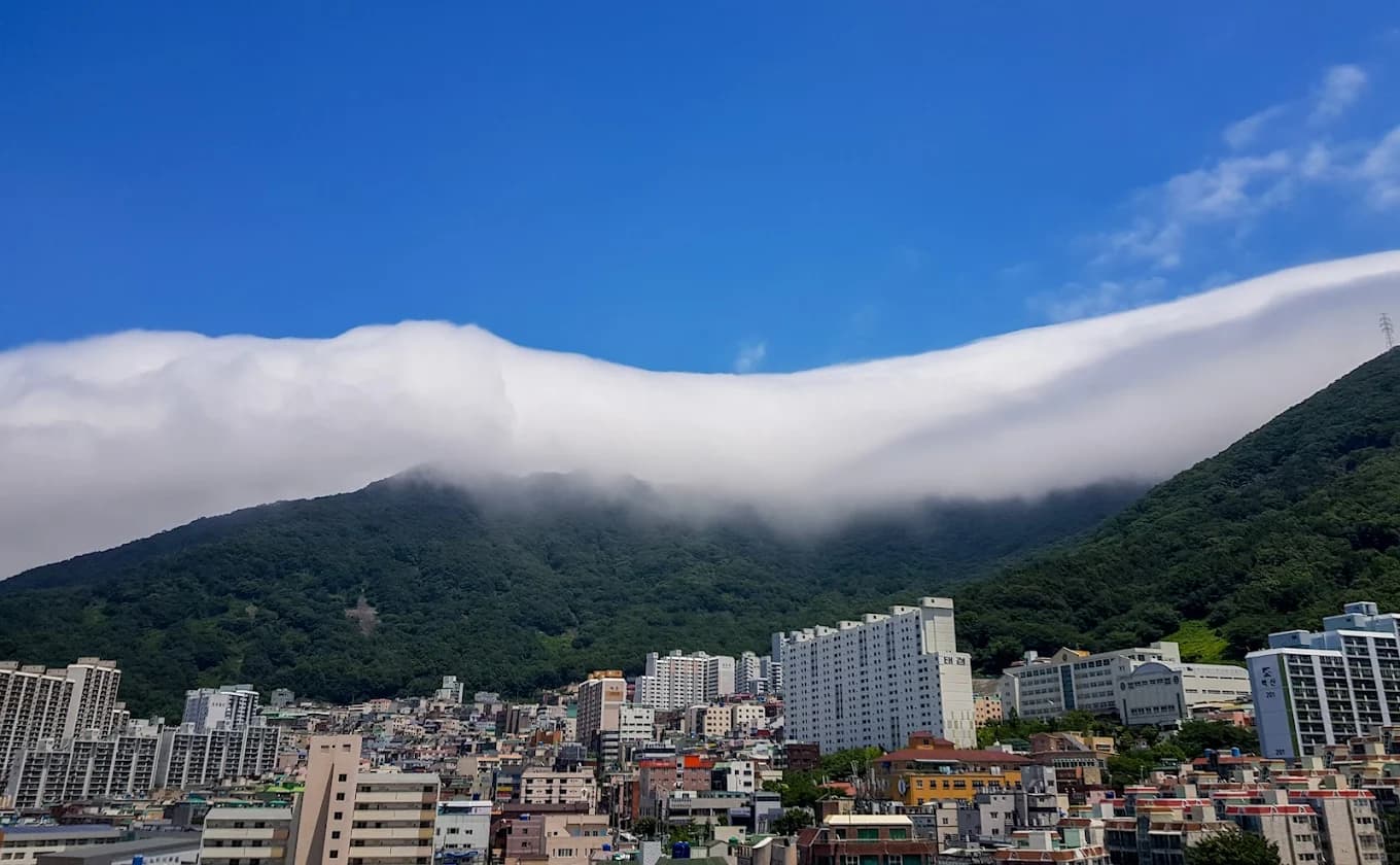 Toàn cảnh Trường Cao Đẳng Kỹ Thuật Busan