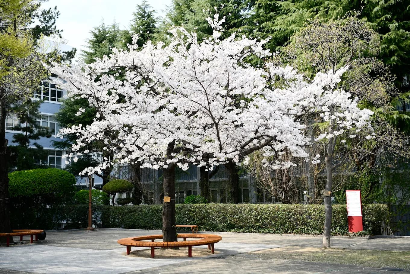 Sân trường Cao Đẳng Kyungnam