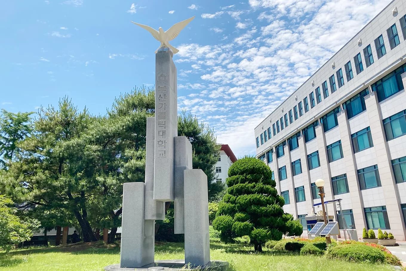 Giới thiệu trường đại học Busan Catholic Hàn Quốc