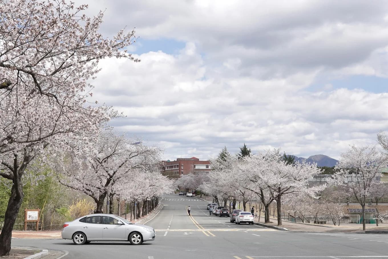 Toàn cảnh trường đại học Daegu