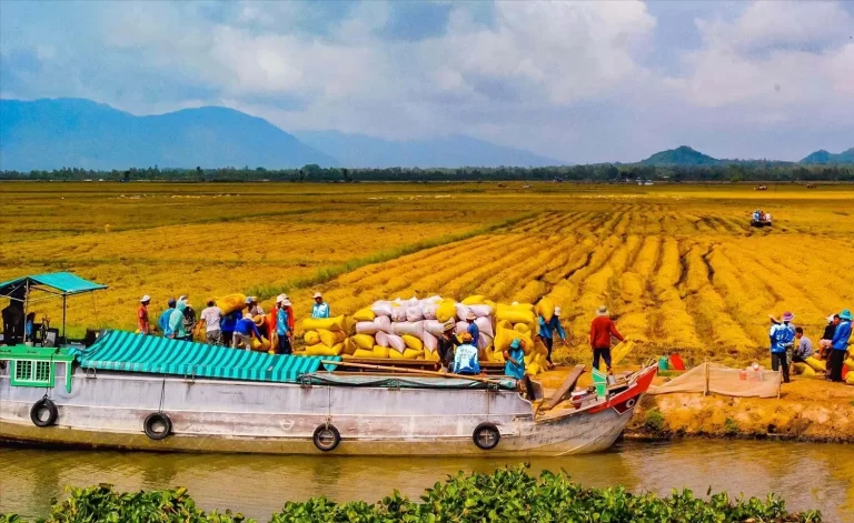 Đồng bằng sông Cửu Long – Nam Bộ