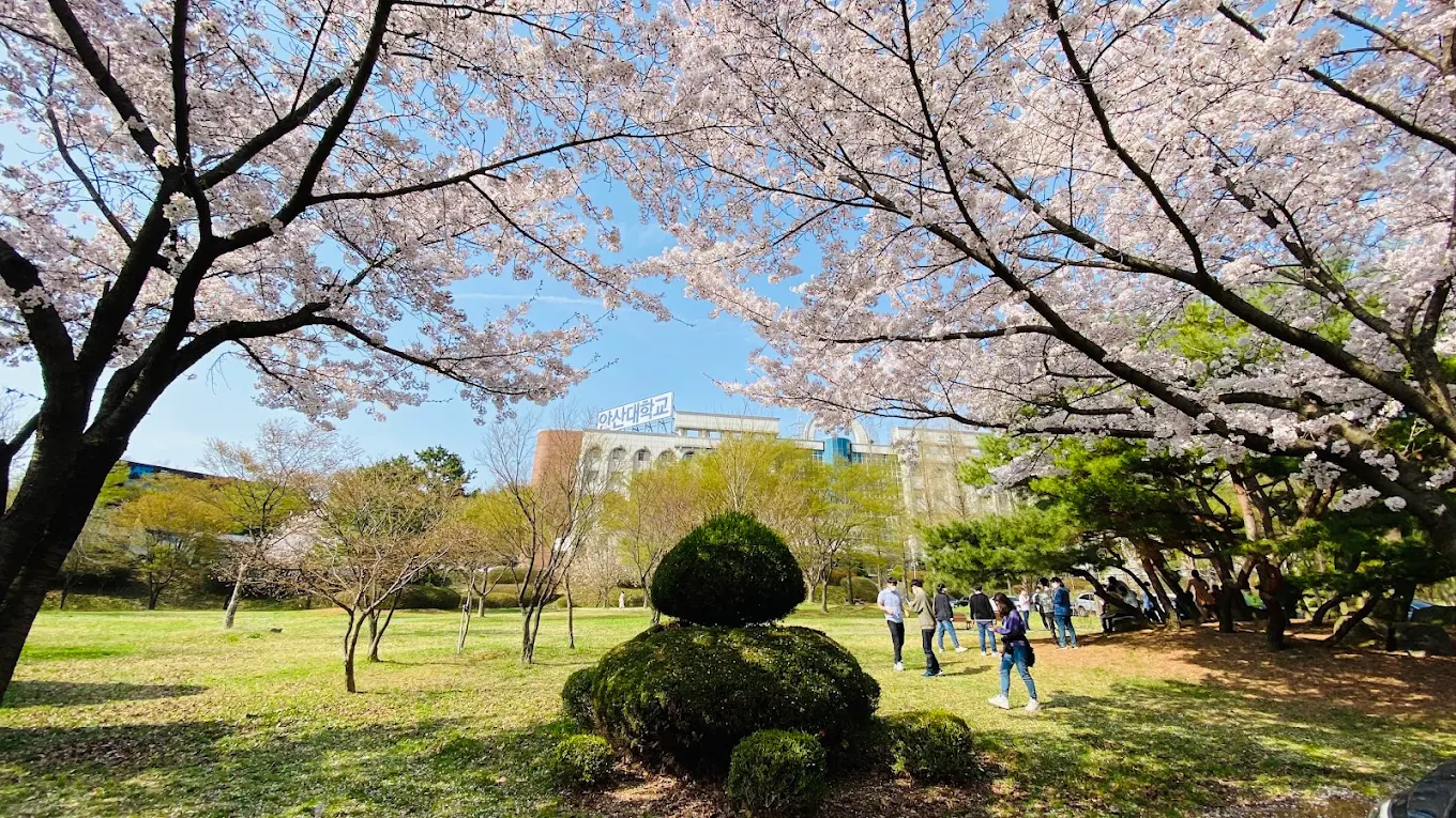 Ansan College