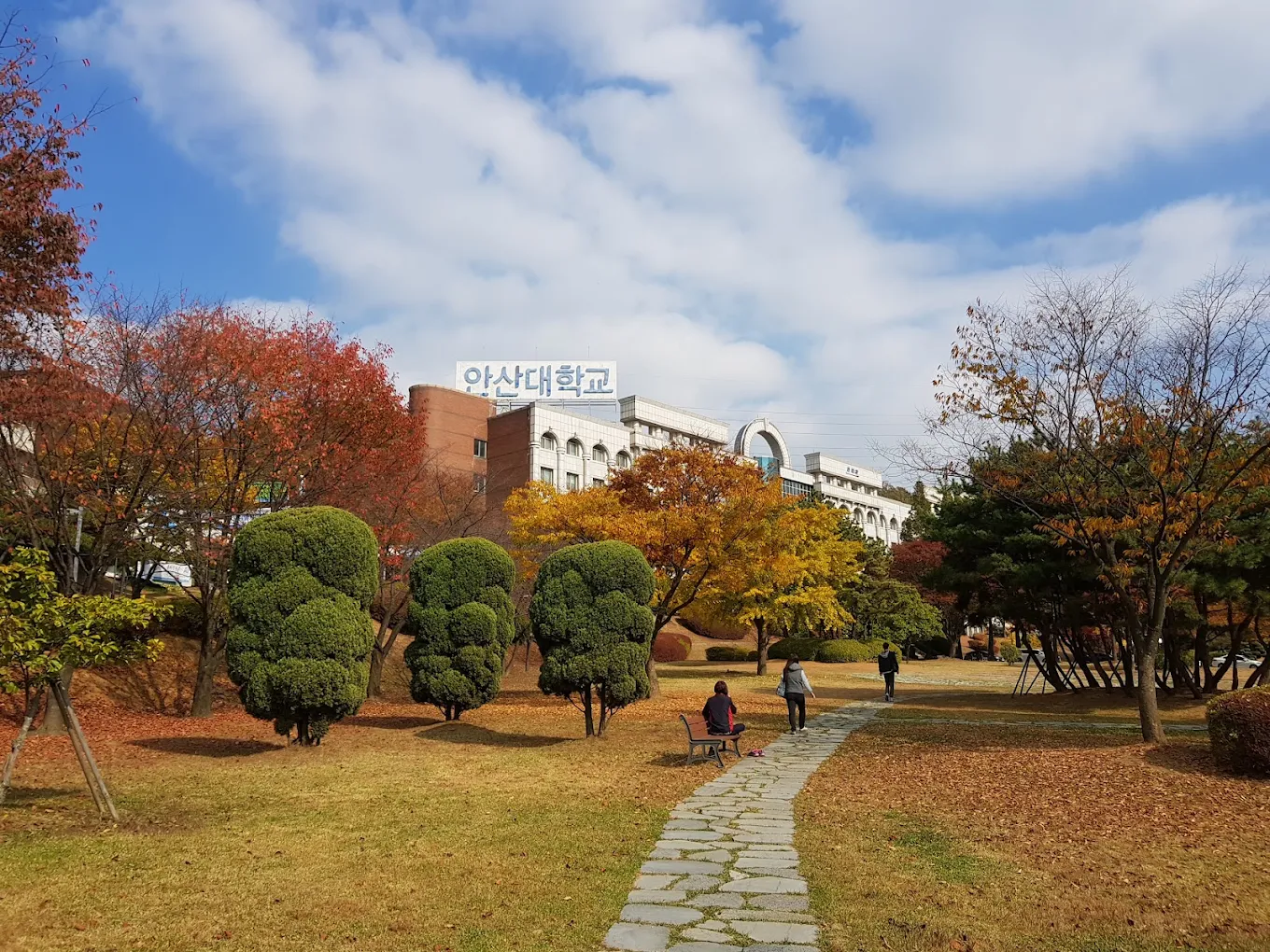 Prominent Majors and Tuition Costs at Ansan