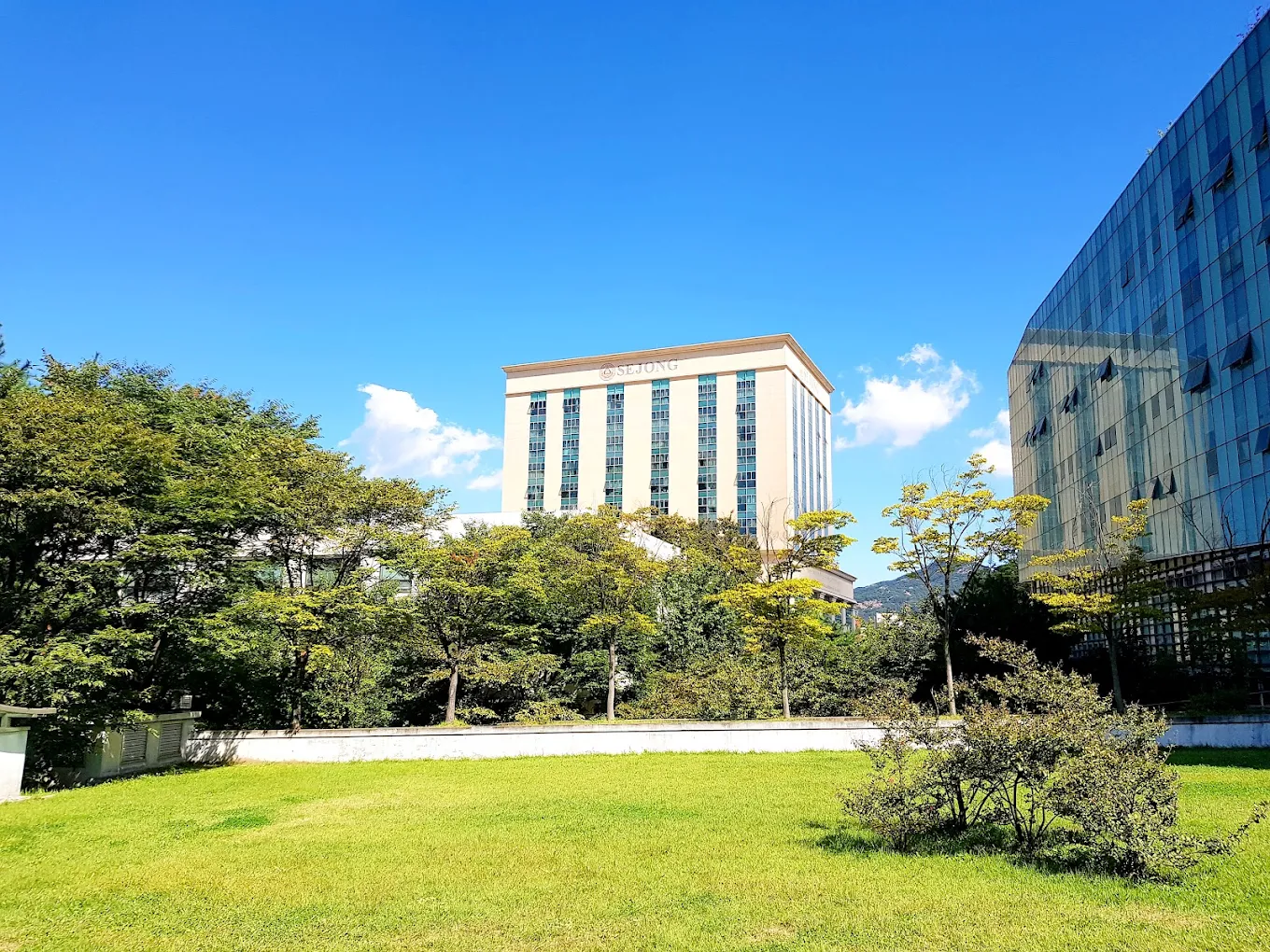 Giới thiệu Trường Đại học Sejong Hàn Quốc