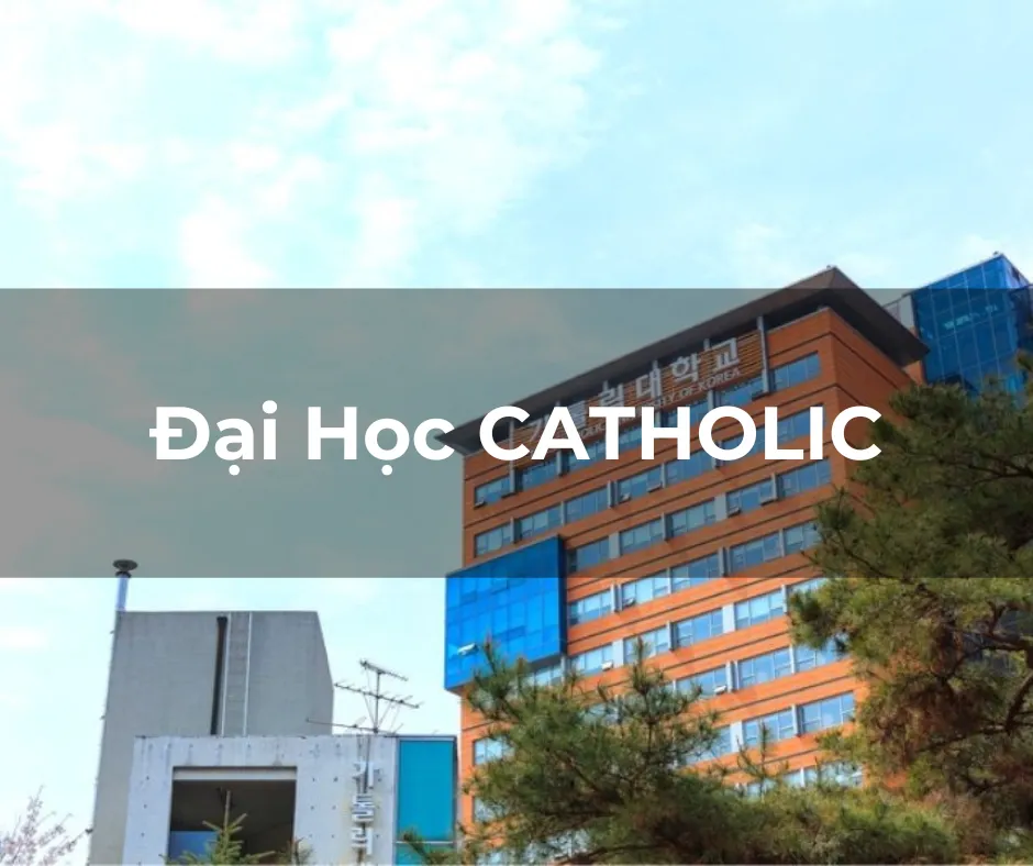 Đại học Catholic