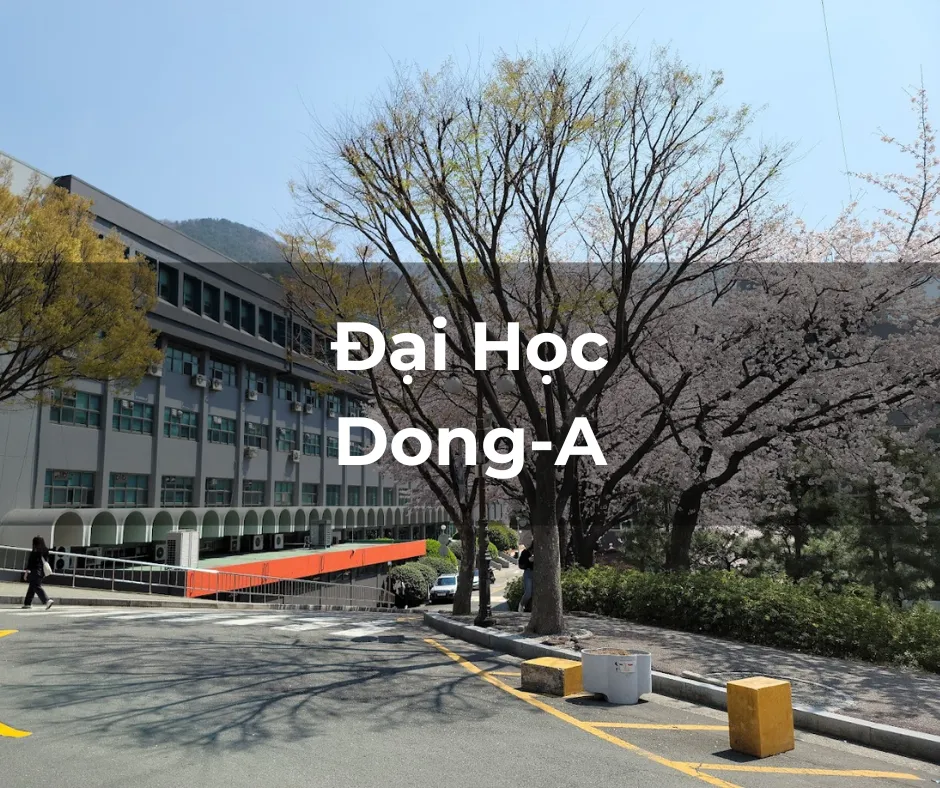 Đại học Dong A