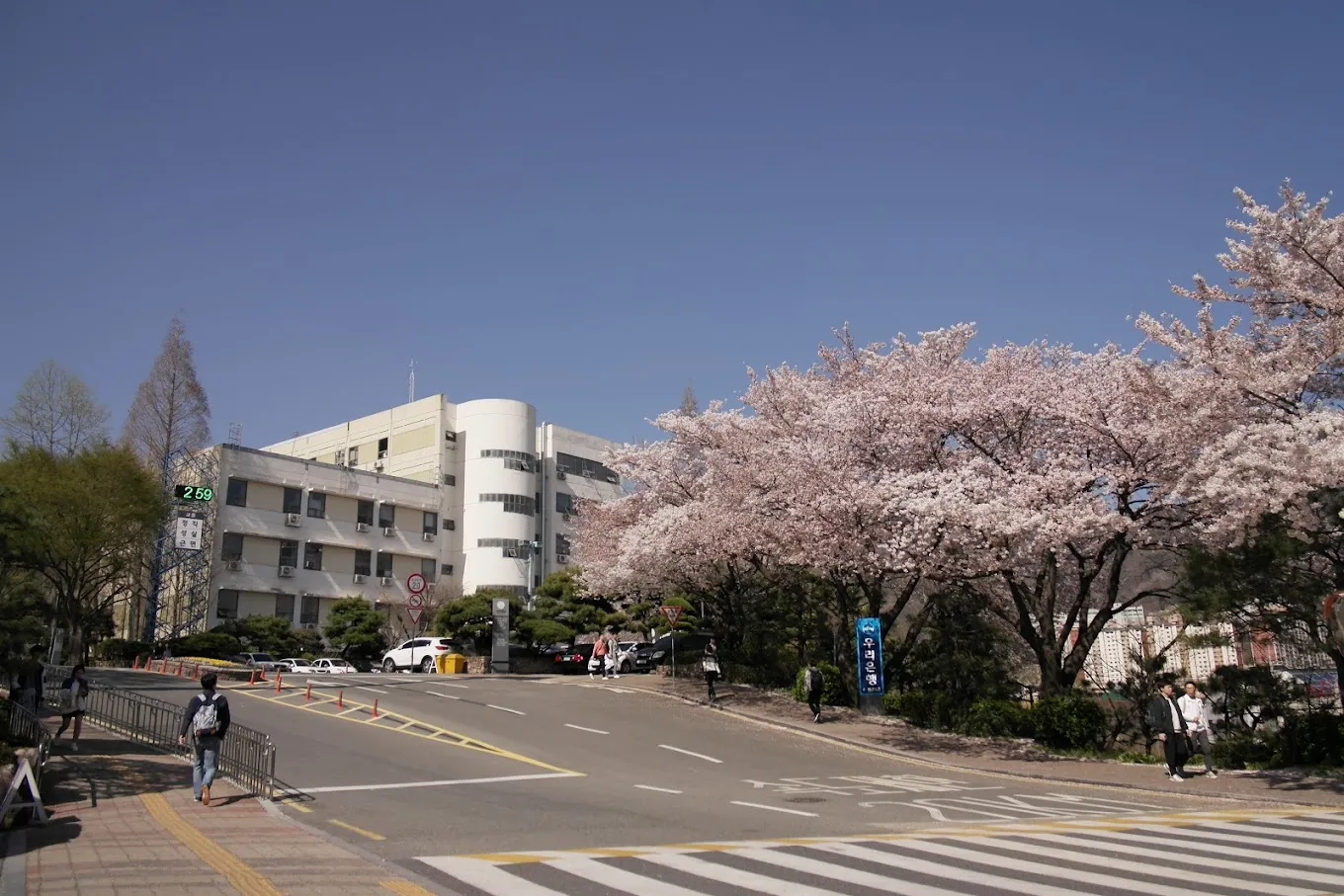 Đại học Inje - Queen Group